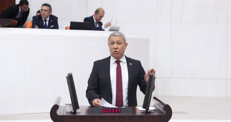 4000 AĞACI KESECEKLER!