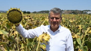 “YANLIŞA SON VERİN, ALDIĞINIZ KARARI REVİZE EDİN”