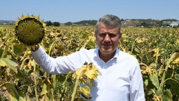 ADANALI ÇİFTÇİLER İŞBİLMEZLİK VE PLANSIZLIK KURBANI! ÇİFTÇİYE SU YOK!