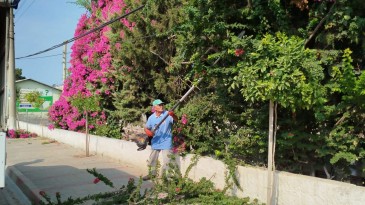 YUMURTALIK’TA ADIM ADIM TEMİZLİK