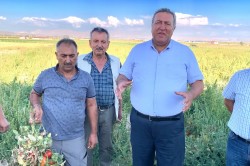 GÜRER: “HACİZLER, ÜRETİMİN ÖNÜNÜ KESER”