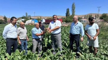 GÜRER: “DERTSİZ ÇİFTÇİ YOK”