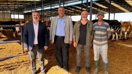 GÜRER: “HAYVANCILIKTA SÜREÇ DOĞRU YÖNETİLEMİYOR”
