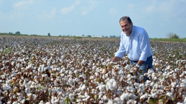 “KÜTLÜ PAMUK FİYATI 40 TL’NİN ALTINDA OLMAMALI”