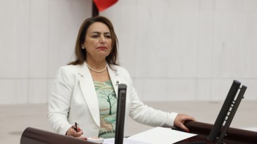 MÜZEYYEN ŞEVKİN: EĞİTİM, YÖRÜNGESİNDEN ÇIKTI!