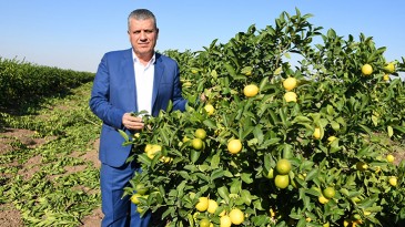 AYHAN BARUT: TARIMDA DIŞ TİCARET AÇIĞI 49 MİLYAR DOLAR