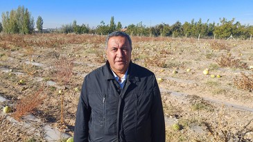 TARLADA KARPUZUN YÜZÜNE BAKAN OLMADI…