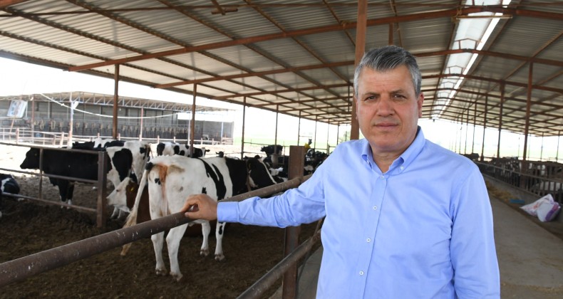 “ET VE SÜTÜ MUMLA ARAYACAĞIZ “