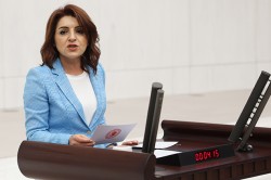 GÜLCAN KIŞ: BAKANLIKLARA BÜTÇE DAYANMADI!