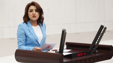 GÜLCAN KIŞ: BAKANLIKLARA BÜTÇE DAYANMADI!