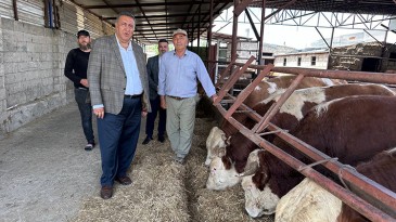 SÜT ÜRETİCİSİ ZARARINA ÇALIŞIYOR…