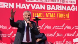 KARALAR: “BİR ŞEHİRDE SOKAK CANLILARI GÜVENDEYSE İNSANLAR DA GÜVENDEDİR.”