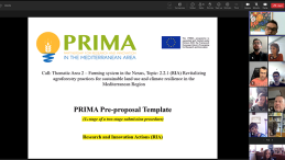 ADANA’YA SÜRDÜRÜLEBİLİR TARIMSAL ORMANCILIK İÇİN AB DESTEĞİ