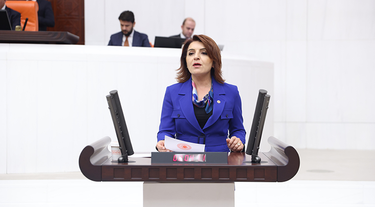 GÜLCAN KIŞ: “MÜJDE DEDİLER, HALKI SEFALETE MAHKUM ETTİLER”