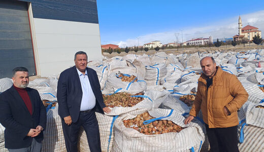 YILBAŞI İÇİN ÇEREZ BİLE LÜKS!