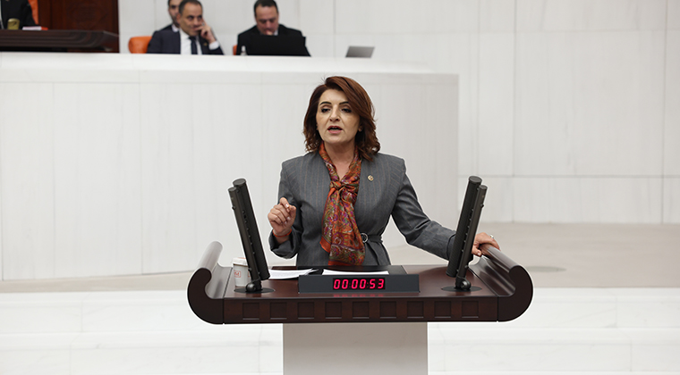 GÜLCAN KIŞ: AİLE YILI HATIRA DEĞİL, YOKSULLUK YILI OLDU!