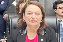 MÜZEYYEN ŞEVKİN: İKLİM KANUNU, SERMAYENİN KURTULUŞ REÇETESİ OLMUŞ!