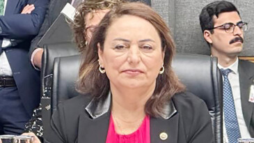 MÜZEYYEN ŞEVKİN: İKLİM KANUNU, SERMAYENİN KURTULUŞ REÇETESİ OLMUŞ!