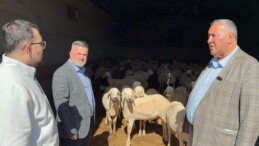 KURBAN ALIMI HER SENE DAHA DA ZORLAŞIYOR