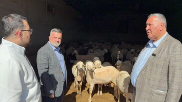 KURBAN ALIMI HER SENE DAHA DA ZORLAŞIYOR