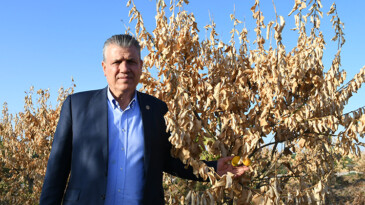 AYHAN BARUT’TAN LİMON İHRACATININ DURDURULMASINA SERT TEPKİ…