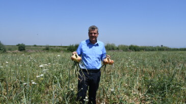 “SOĞAN ÜRETİCİSİ KAN AĞLIYOR”