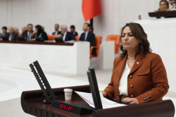 MÜZEYYEN ŞEVKİN, İKLİM KANUNUNA SERT ÇIKTI: “ŞİRKETLER ÖNCELENİYOR”