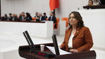 MÜZEYYEN ŞEVKİN, İKLİM KANUNUNA SERT ÇIKTI: “ŞİRKETLER ÖNCELENİYOR”