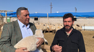 KEÇİLER VE OĞLAKLAR İCRA YOLUYLA SATIŞTA!