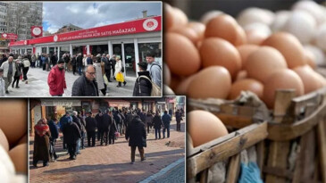 YUMURTA KUYRUĞU DÖNEMİ BAŞLADI…