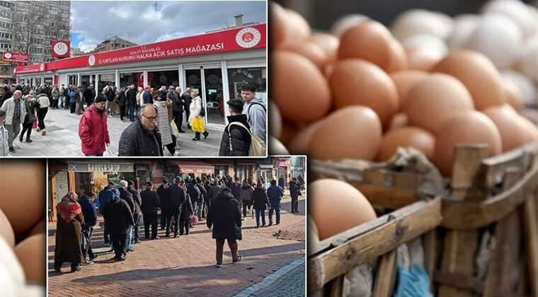 YUMURTA KUYRUĞU DÖNEMİ BAŞLADI…