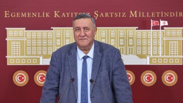 ŞARBON, ŞAP VE BRUSELLA HAYVANCILIĞIN BAŞINA BELA!