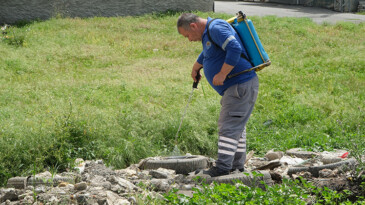 KURBAN BAYRAMI ÖNCESİ ÖNLEMLER ARTIRILDI-HAŞERE MÜCADELESİ SÜRÜYOR