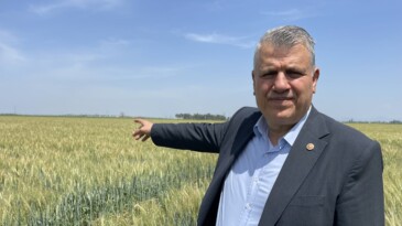 “BUĞDAY ÜRETİMİNDE KORKUTAN KAYIP”