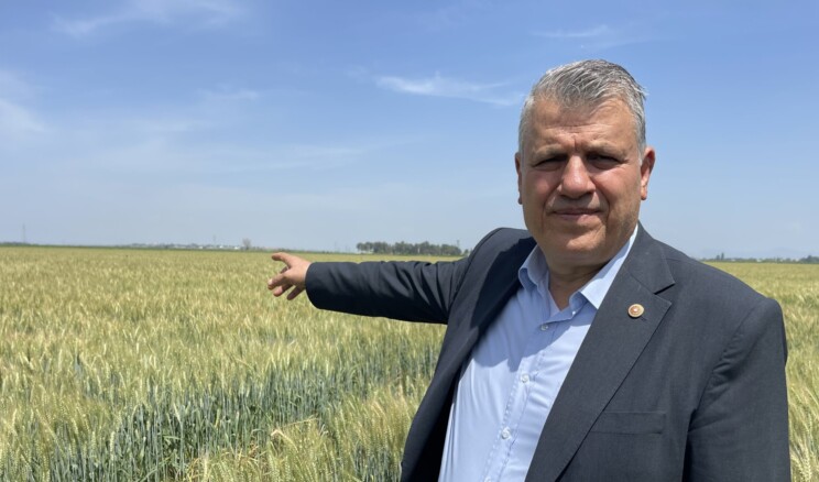“BUĞDAY ÜRETİMİNDE KORKUTAN KAYIP”