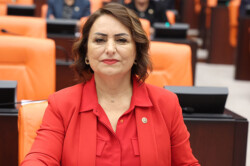 MÜZEYYEN ŞEVKİN’DEN 15 İLÇE İÇİN 15 AYRI SORU ÖNERGESİ