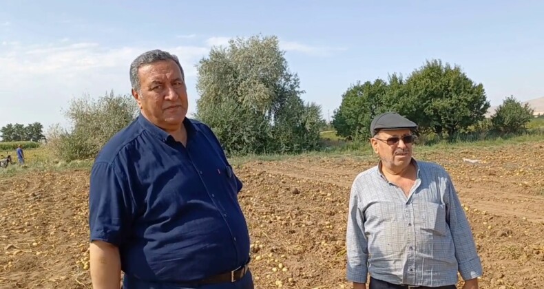 PATATES TARLASINDA KRİZ DERİNLEŞİYOR
