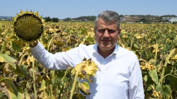 “HER SENE AYNI SENARYO UYGULANIYOR”