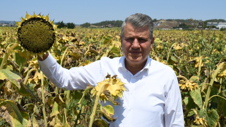 “HER SENE AYNI SENARYO UYGULANIYOR”