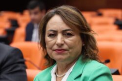 CHP’Lİ ŞEVKİN, YUMURTALIK’IN MECLİSTEKİ SESİ OLDU