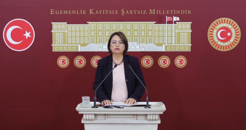 CHP’Lİ ŞEVKİN’DEN HURDA TEŞVİK KANUNU TEKLİFİ