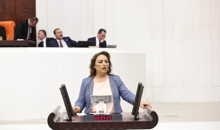 MÜZEYYEN ŞEVKİN: “HALK, AĞIZ VE DİŞ SAĞLIĞI HİZMETİNE ULAŞAMIYOR, DİŞ HEKİMLERİ İŞSİZ!”