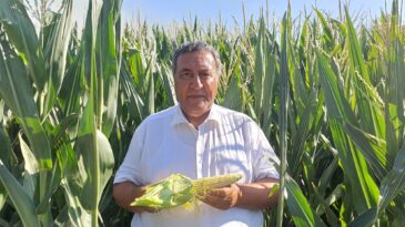 GÜRER: “MISIR ALIM FİYATI ÜRETİCİYİ HAYAL KIRIKLIĞINA UĞRATTI”