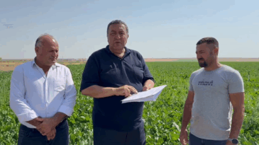 ÜRETİCİ: “TON ALIM FİYATI 3500 LİRADAN AZ OLMAMALDIR”