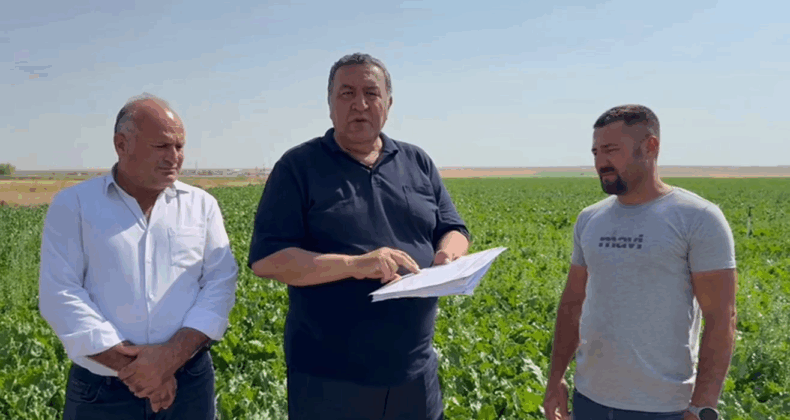 ÜRETİCİ: “TON ALIM FİYATI 3500 LİRADAN AZ OLMAMALDIR”