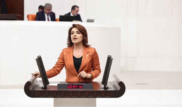 GAZİ MECLİSİN YASAMA YETKİSİ SARAY TARAFINDAN GASP EDİLDİ