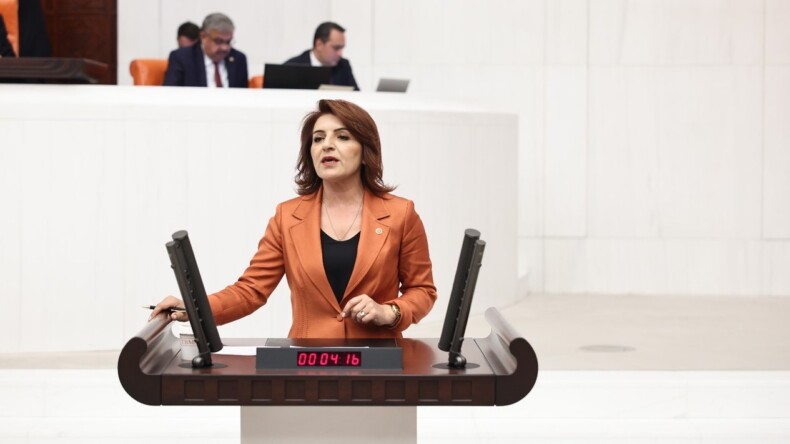 GAZİ MECLİSİN YASAMA YETKİSİ SARAY TARAFINDAN GASP EDİLDİ