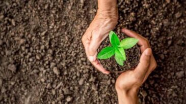 GÜNDOĞDU’DAN FİDAN KAMPANYASI