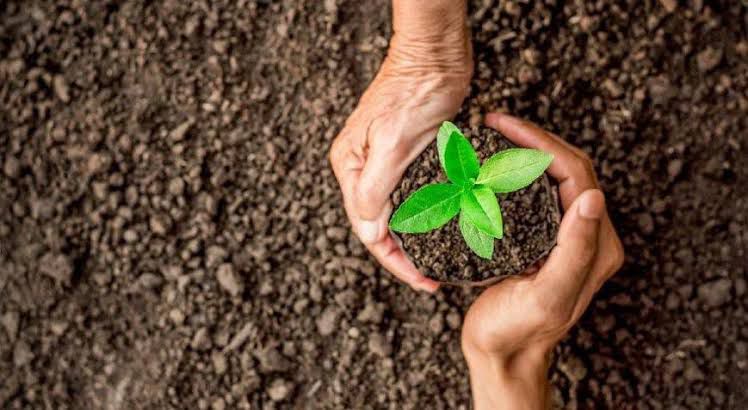 GÜNDOĞDU’DAN FİDAN KAMPANYASI