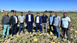 İKLİM DEĞİŞİKLİĞİ KABAK TADI VERDİ…